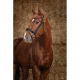 Norton Pro Bridle Gravure [037301873302]