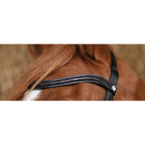 Norton Pro Bridle Gravure [037301873302]