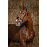 Norton Pro Satin Bridle [037301885]