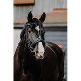 Norton Wide Cavesson Black [037306313]