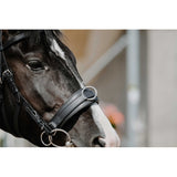 Norton Wide Cavesson Black [037306313]