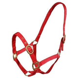 Turfmasters Nylon Halter (BP) Foal Slip [9611156]