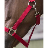 RIDING WORLD “Club” Shetland Headcollar [03751011]