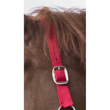 RIDING WORLD “Club” Shetland Headcollar [03751011]