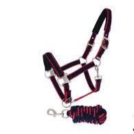 Equitheme Satine Headcollar + Rope[0375200393]