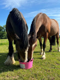 Equine Flexi Licks [259dkbloc007]