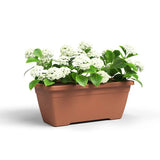 Window Box Terracotta 60cm [17333026]