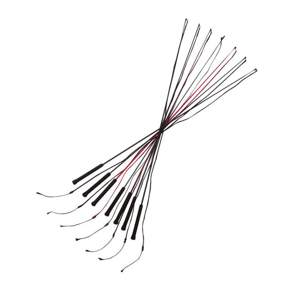 Whip& Go Lunging Whip 160cm [037953400]
