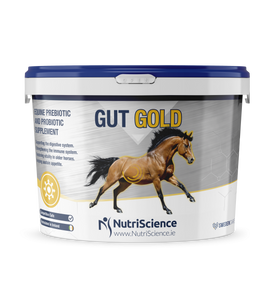 Nutriscience gut gold 1.2kg[023209698]
