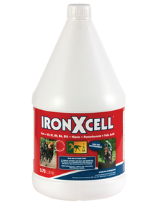 Iron Xcell [096IRON]