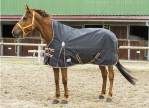 Equitheme Tyrex High Neck 1200D Turn Out Rug [0374008640]