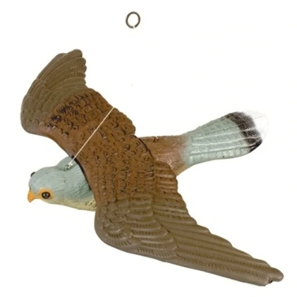 Flying Falcon [010AIR00064]