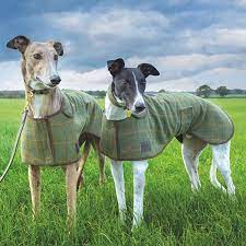 Digby & Fox Tweed Greyhound Coat[2026900]